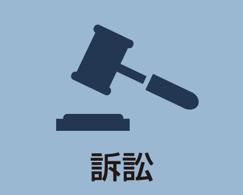 訴訟